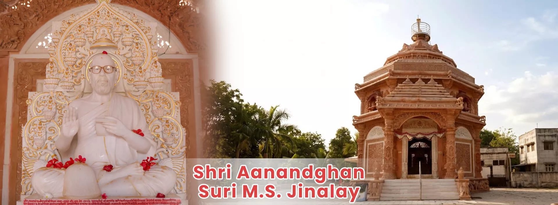 Shri-Aanandghan-Suri-M.S.-Jinalay